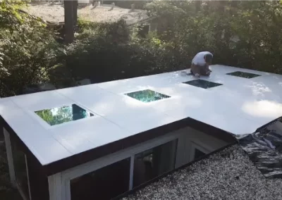 Professional Roof Maintenance