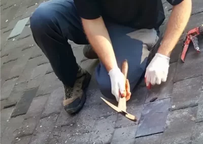 Professional Roof Maintenance