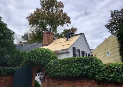 Professional Roof Maintenance
