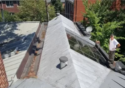 Professional Roof Maintenance